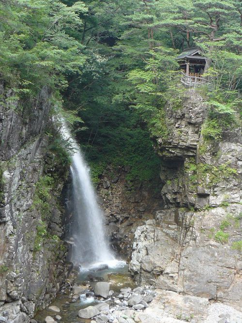 �����̑�