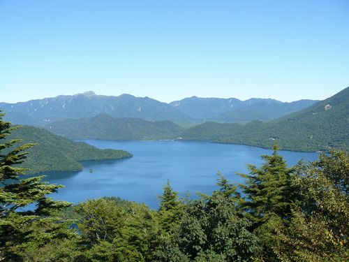 ���T����