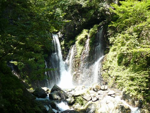 �����̑�