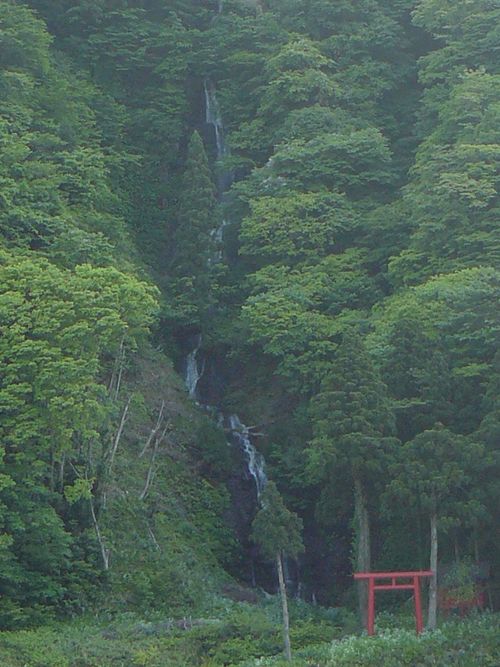 �����̑�