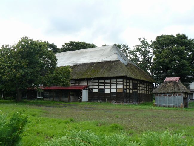 �Ό˒J�ƏZ��i�X���O�O�s�j