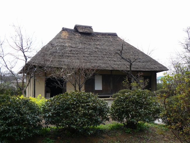 ������ƏZ��i���������킫�s�������j