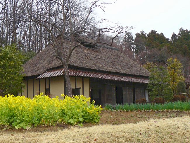 ������ƏZ��i���������킫�s�������j