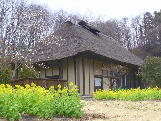 �����؉ƏZ��i���������킫�s�������j