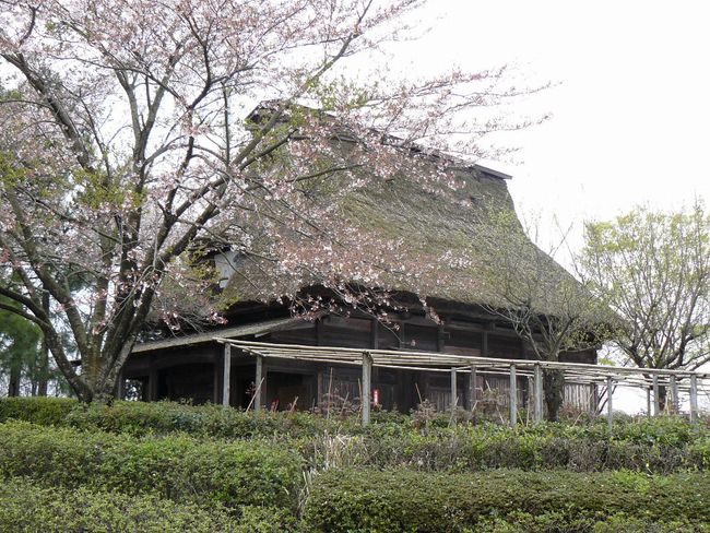 �t�؉ƏZ��i�ΐ쌧����s�吹���j