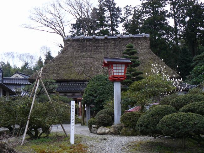 �ѓc�ƏZ��i�ΐ쌧�����s�É��~���j