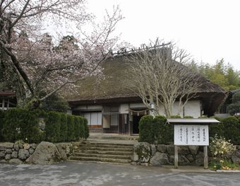 ����ƏZ��