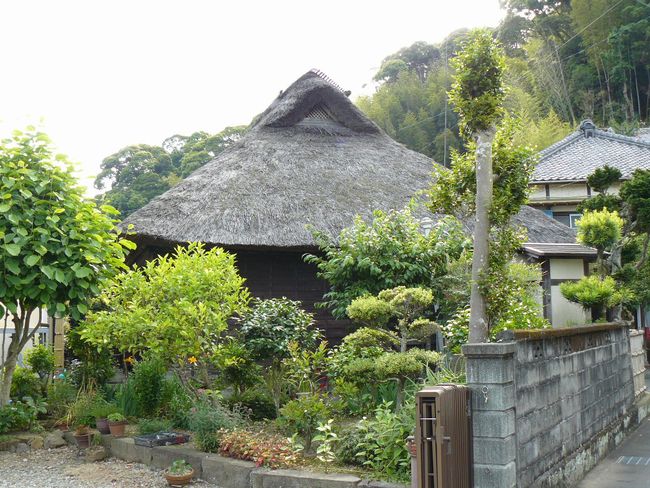 �g�c���A���