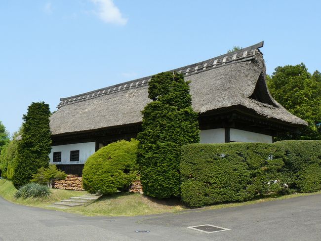 �_�c���i�@����i�Ȗ،��F��S�v�q���j