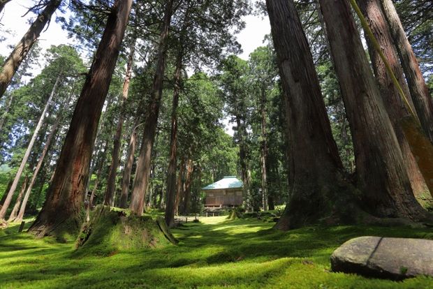 越前馬場:平泉寺白山神社:写真