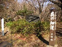 �H�B�l�X��