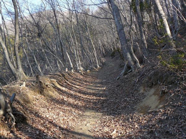 �O���X���i���j�̓��S�I�j�E�O�����i�Q�n���݂Ȃ��ݒ��j