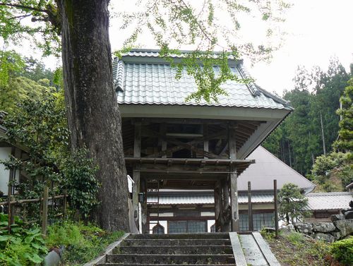 �������i���䌧�E�ዷ���j