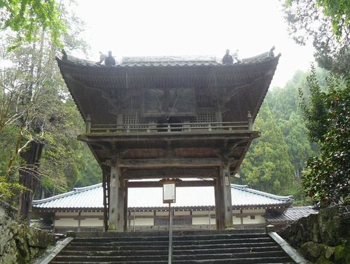 ���܎��i���䌧�E���l���j