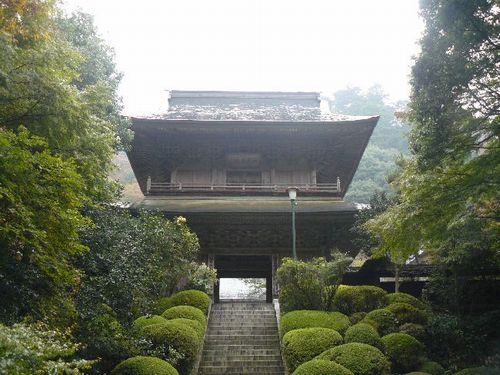 �_�ގ��i�Ȗ،��E��c���s�j