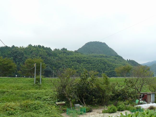 ���R�x�c��