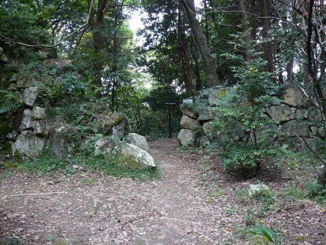 �ω�����