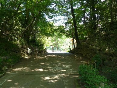 ���c���فi�U�P����فj