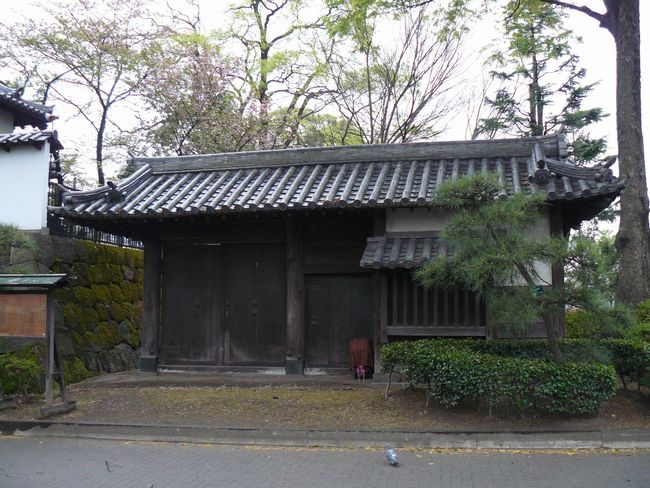 �����|����