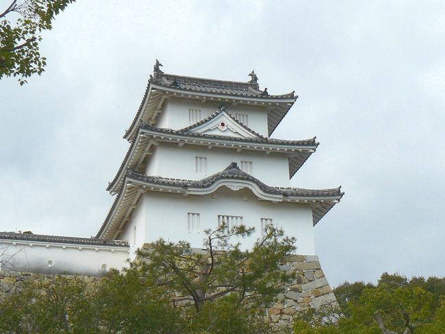 ���Ώ�|�F�E