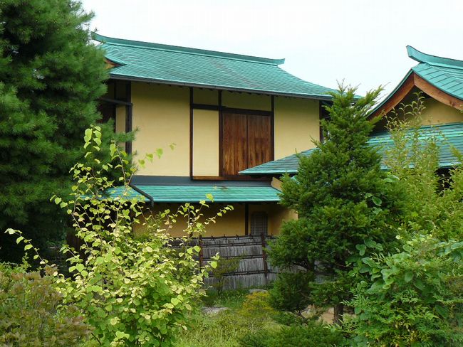 �����w���|������