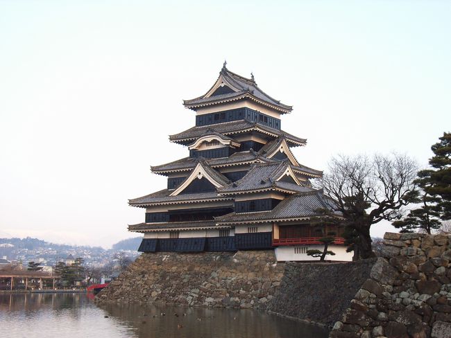 ���{��|��V��t