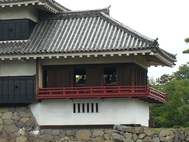 ���{��|�����E