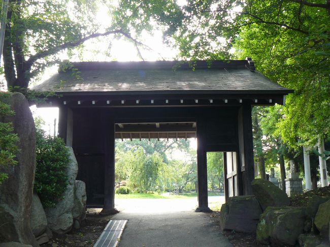 ������|�O�V�ی�a����