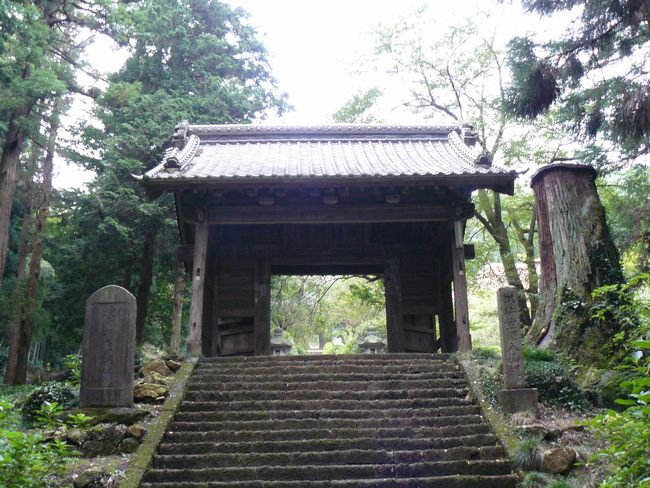 �F���i�����j�|�咆��