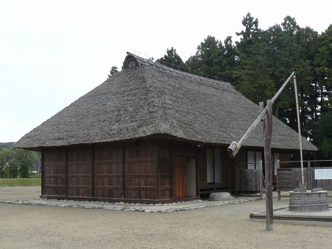 �����w��