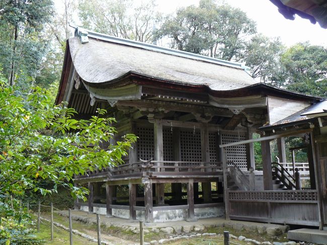 �C���_�ЁF�{�a�i�x�R���E�����s�j�摜